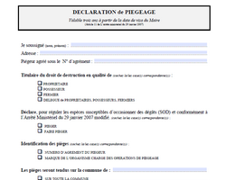 A14_Des formulaires en quelques clics !